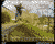 David, Skate med dirthjul: ollie to
 grassdownhill to fet slam.